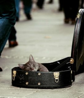 Musician On A Mission