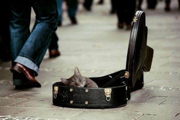 Musician On A Mission
