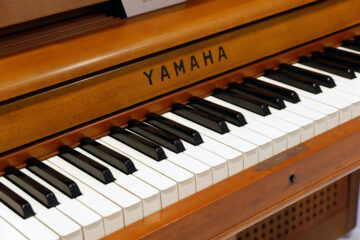 Musician On A Mission